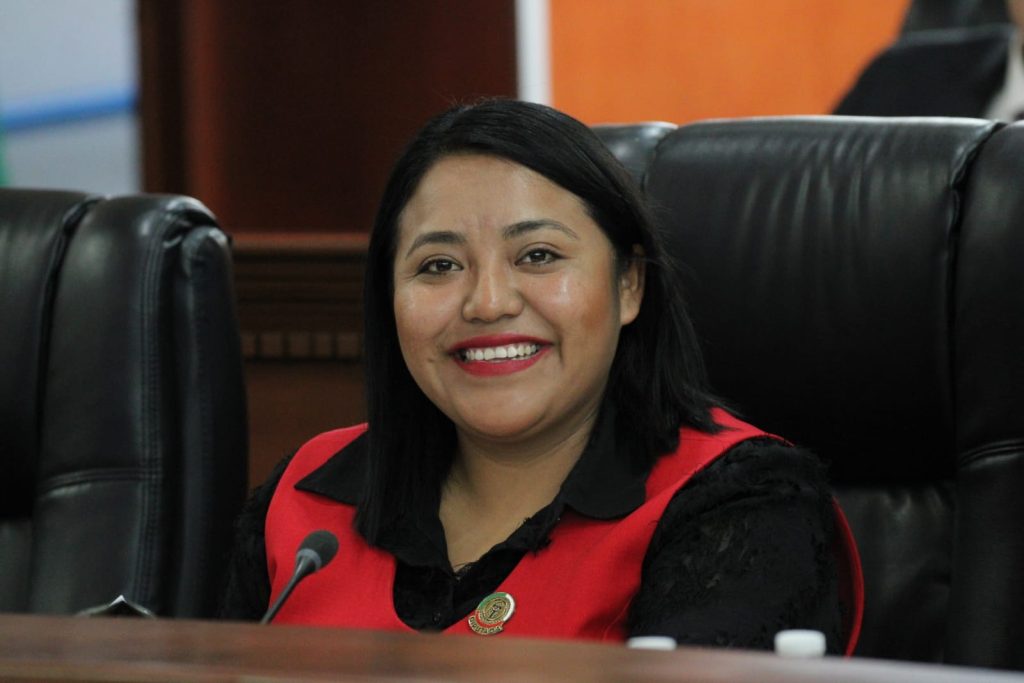 Exhorta Dip. Evelyn Sánchez a los Ayuntamientos a impulsar campaña preventiva «Si tomas no manejes»