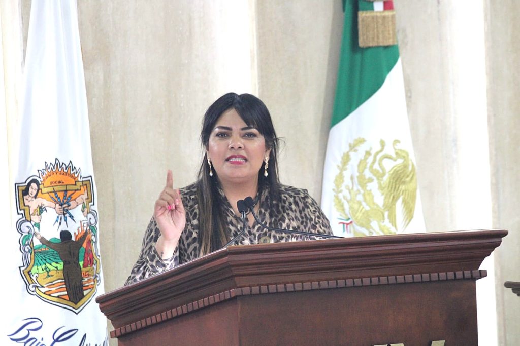 Solicita Dip. Montse Murillo construcción de puente en Delegación Camalú