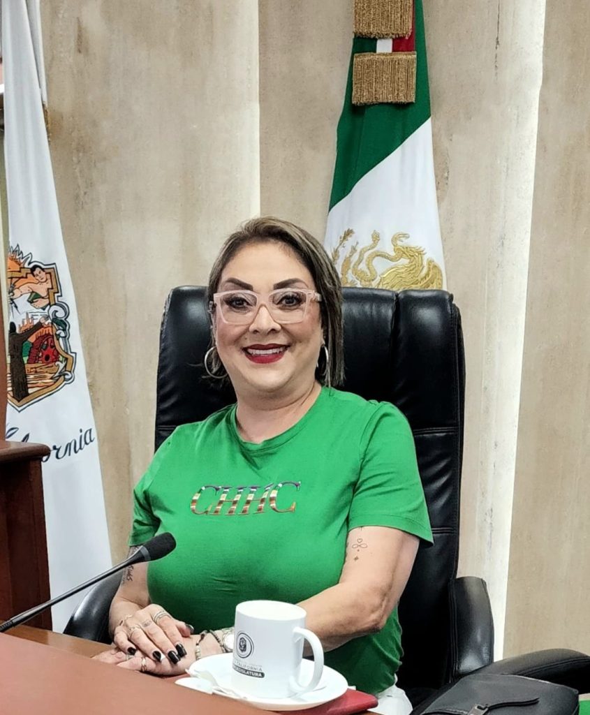 Dip. Tere Ruiz propone Ley Estatal para la comercialización y uso responsable de drones