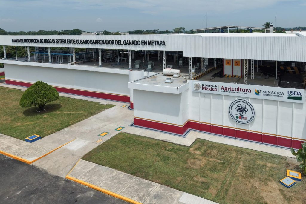 Ponen en operación planta de producción de moscas estériles del gusano barrenador del ganado