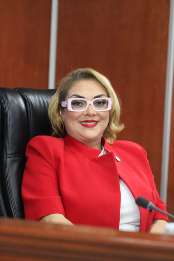 Dip. Tere Ruiz propone expulsión de extranjeros sentenciados por violencia contra mujeres