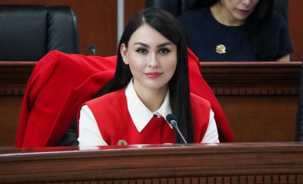 Pide Dip. Yohana Gilvaja rehabilitación urgente a rampa de frenado en libramiento Rosas Magallón