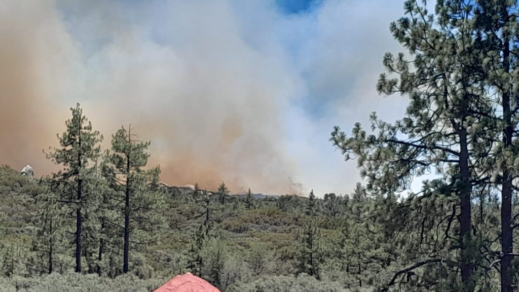 Atiende División Forestal de Ensenada incendio en Sierra de Juárez