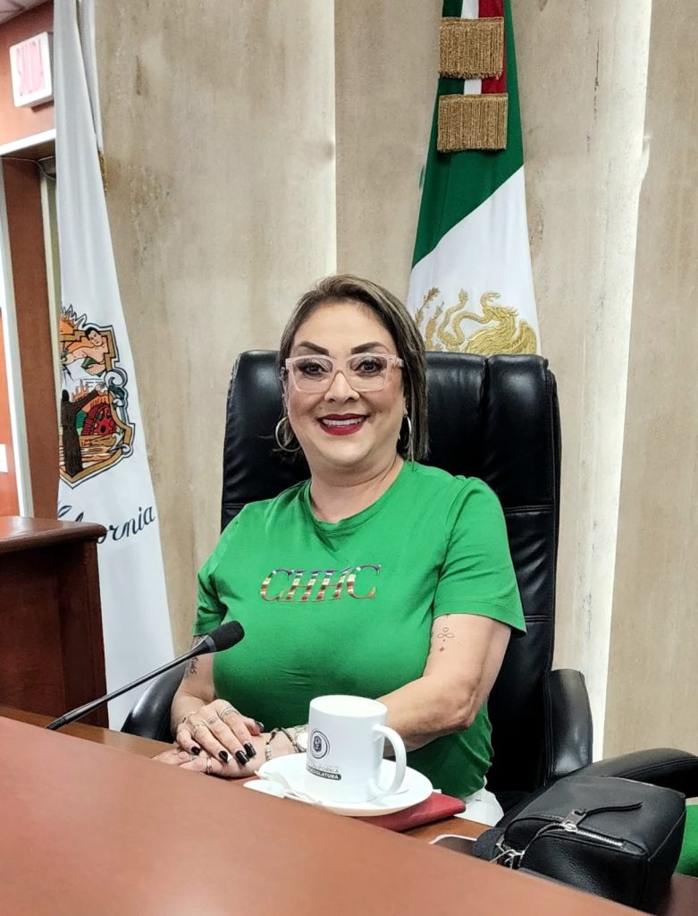 Dip. Tere Ruiz promueve cabildos más abiertos y transparentes