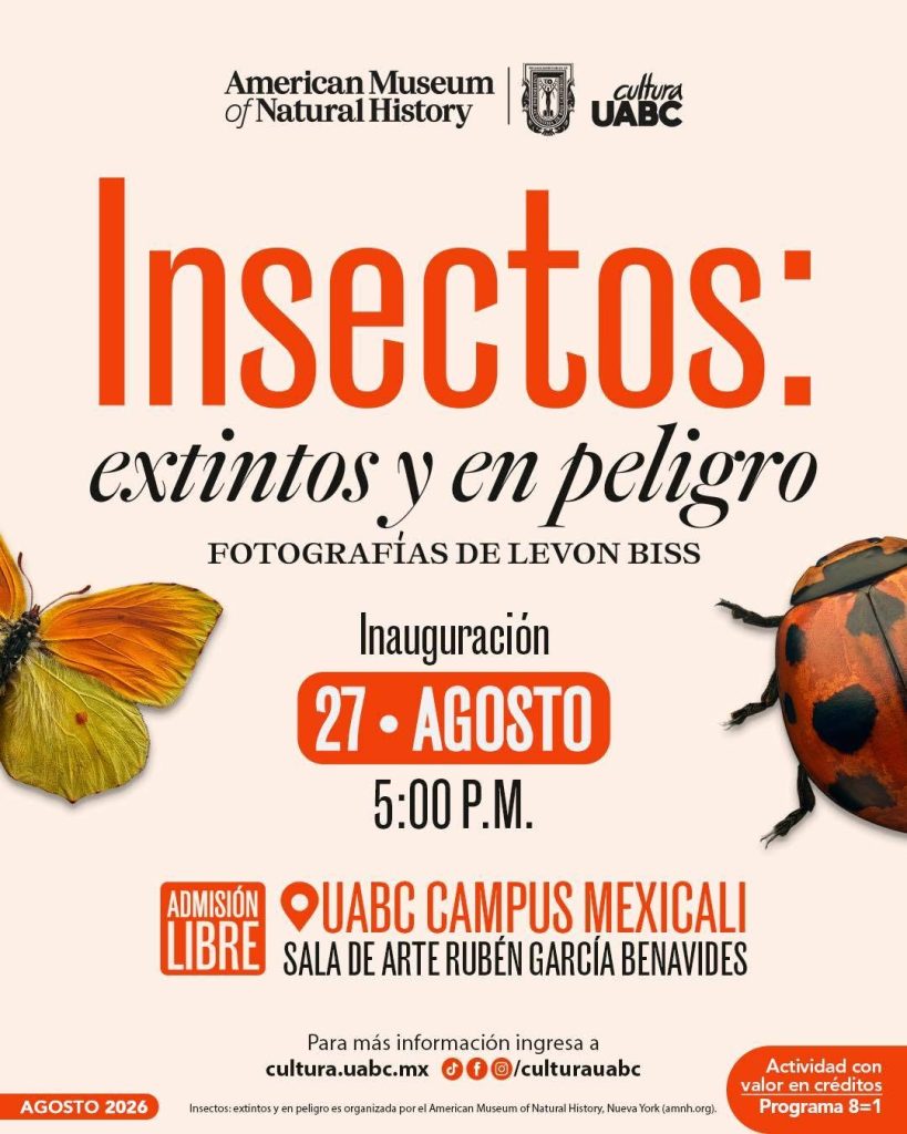 La exposición “Insectos: extintos y en peligro” está por llegar a Mexicali