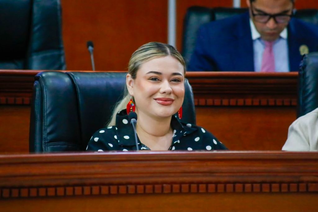 Dip. Michelle Tejeda busca atención integral y accesible para personas con discapacidad
