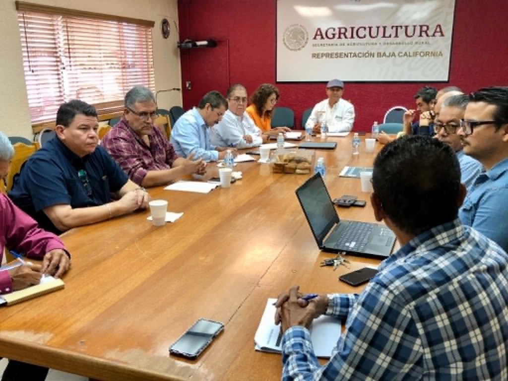 Comienza la planeación del ciclo agrícola Otoño-Invierno 2026-2027 en el Valle de Mexicali