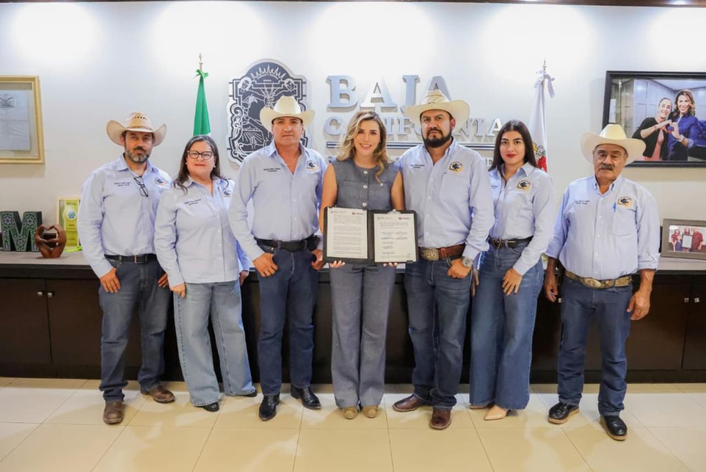 Acuerdan trigueros con gobernadora Marina del Pilar apoyo a trigo cristalino con 1,500 pesos por Hectárea