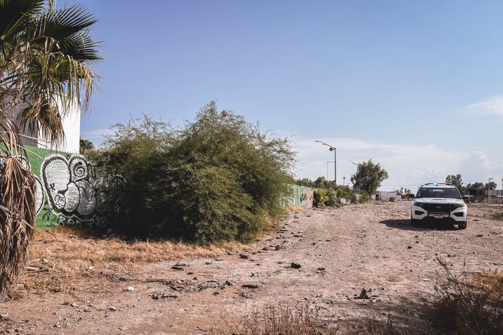 Muere debajo de un árbol en el calor infernal de Mexicali