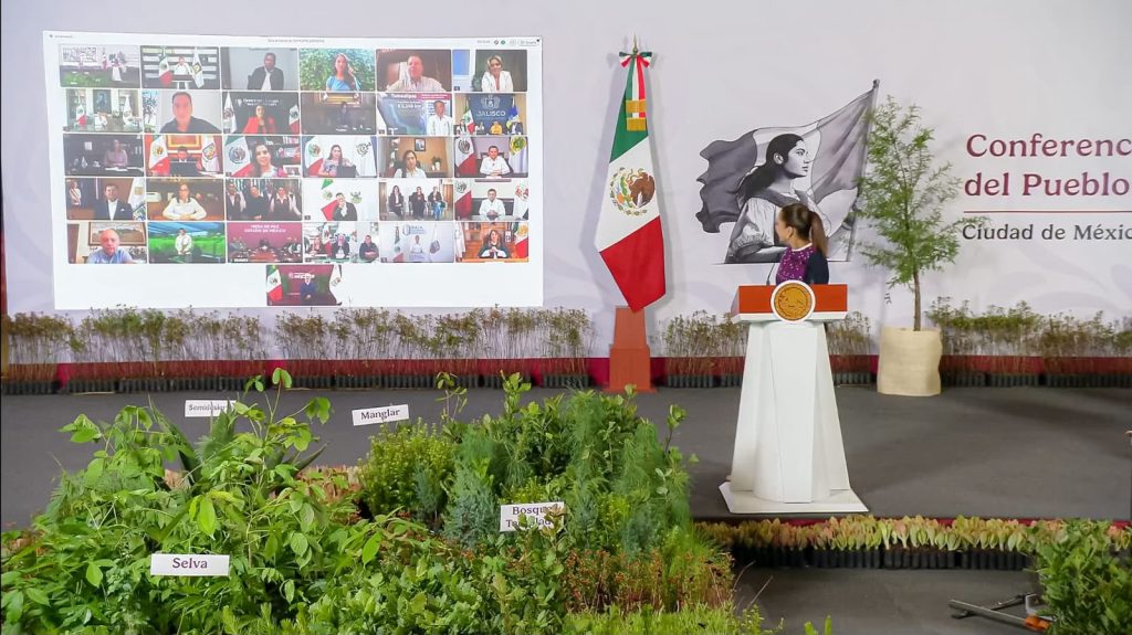 Baja California en jornada nacional de reforestación, impulsada por la presidenta Claudia Scheinbaum