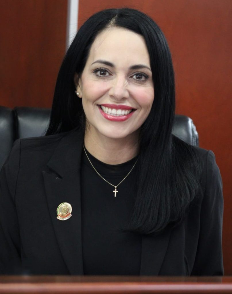 Patrimonio de una persona debe llegar intacto en la vejez: Dip. Mayola Gaona