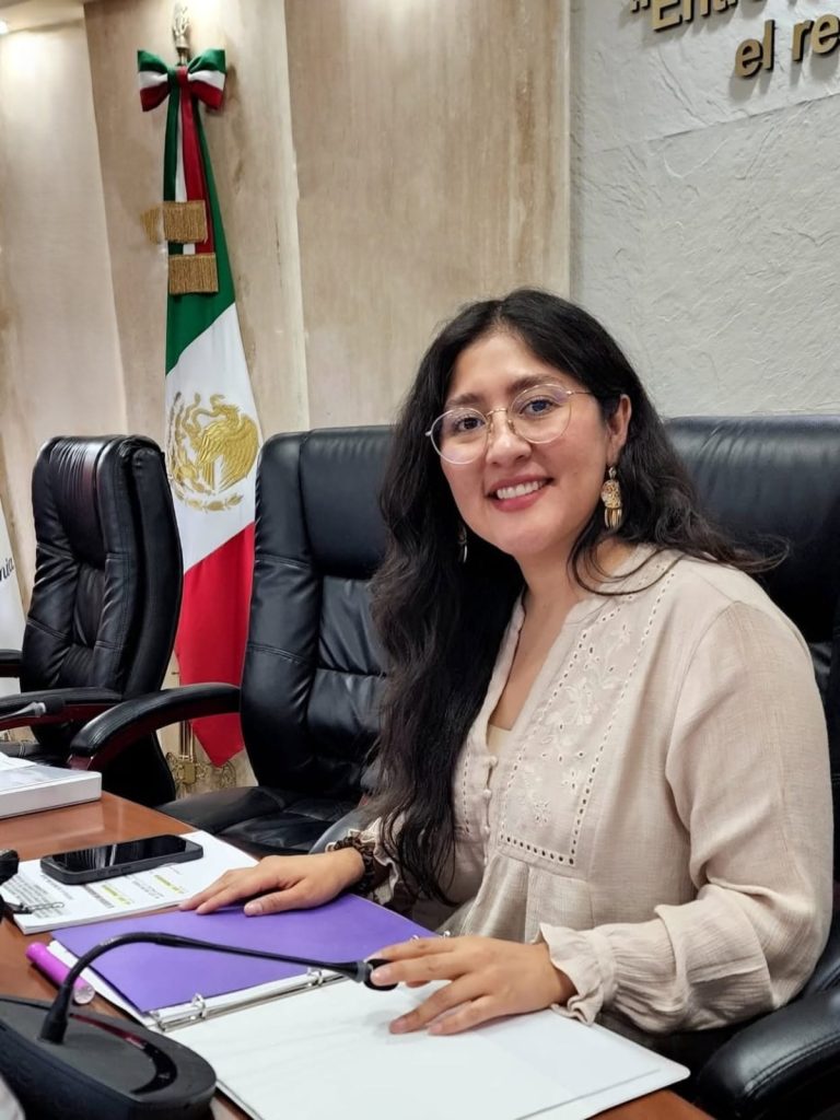 Propone Dip. Michel Sánchez propone nueva Ley para fortalecer participación ciudadana en decisiones públicas