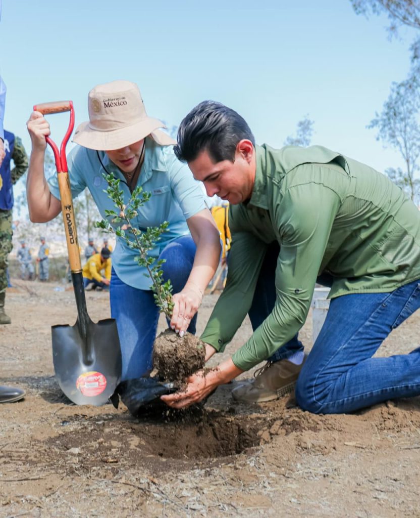 Participa BC en campaña de reforestación nacional