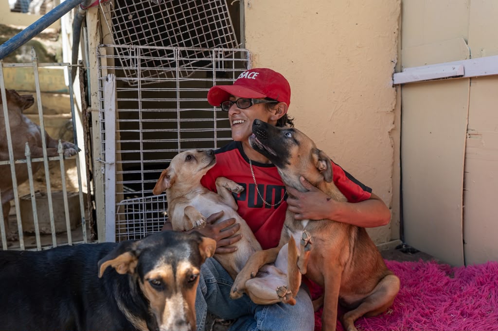 Siete años rescatando perros: Evangelina pide apoyo para mantener a salvo a 74 caninos