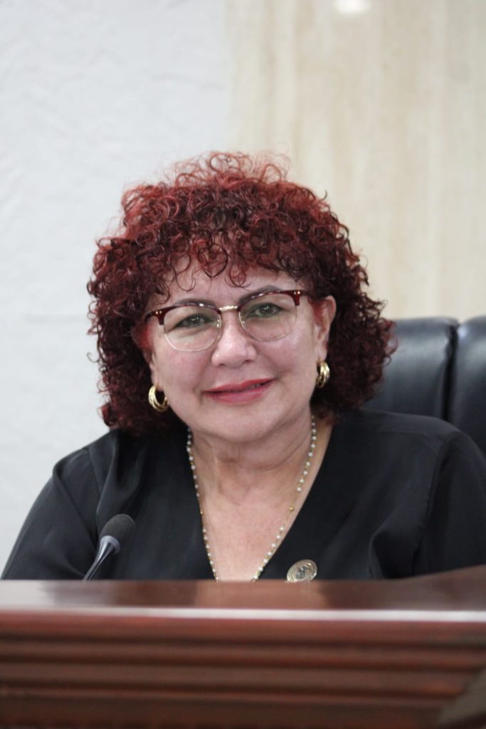 Dip. Maythé Méndez exhorta proteger y reubicar a familias asentadas en Río Tecate