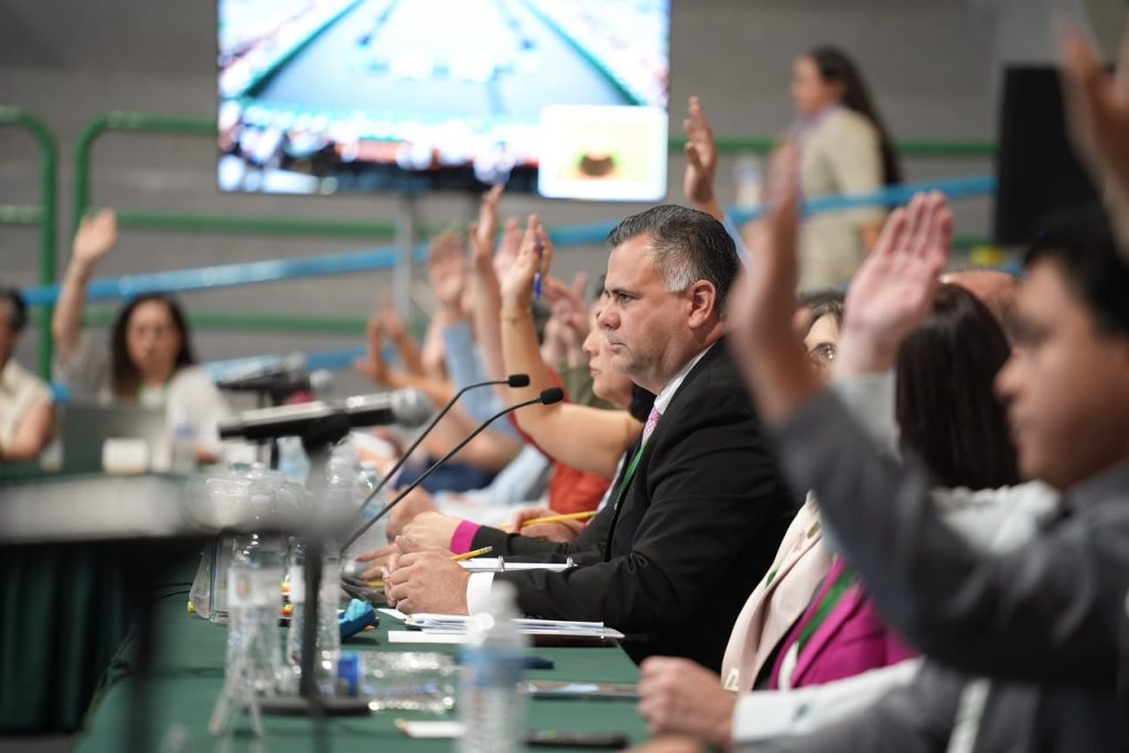 Consejo Universitario aprueba acuerdos en materia educativa, derechos y bienestar universitario