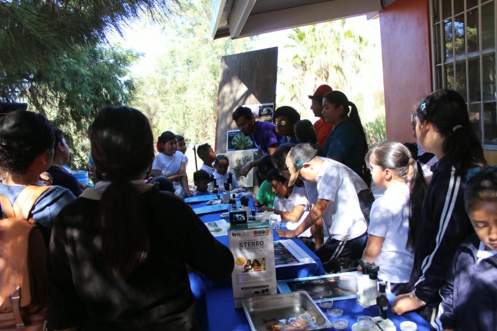 Acercan ciencia y conocimiento del mar a niñas y niños de comunidades indígenas