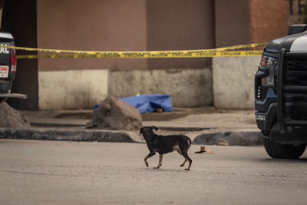 Ataque armado cobra la vida de una joven en Villas del Sol