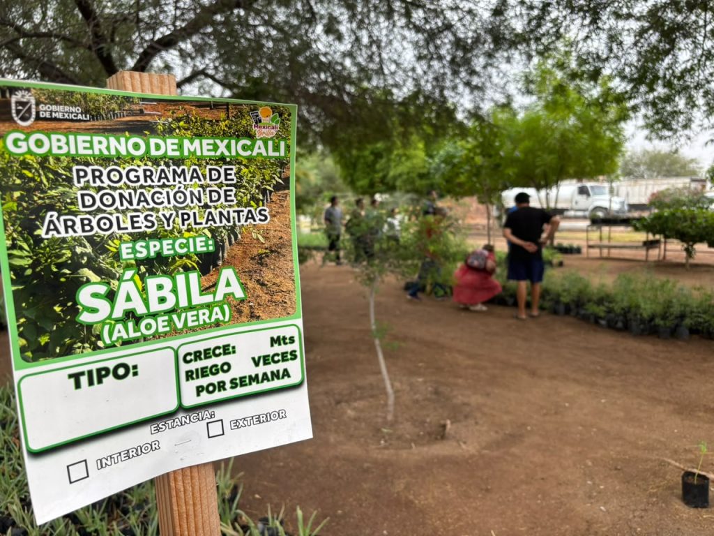 🌳 ¡Mexicali concluye con éxito su campaña de donación! 🌿